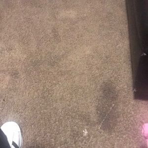 Meet your Posher, Ebony